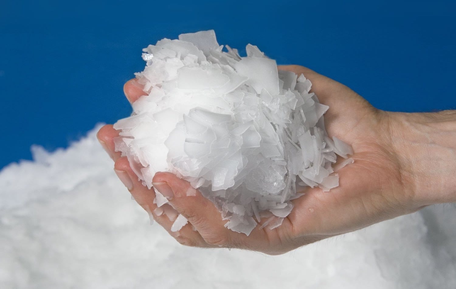 Ice Flakes Fish