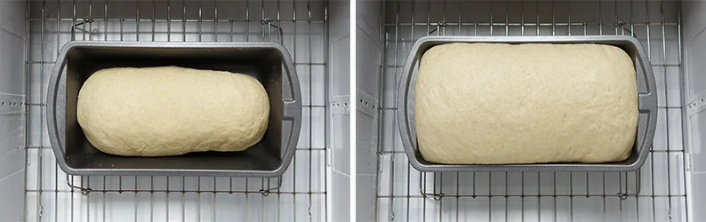 Dough In Proofer