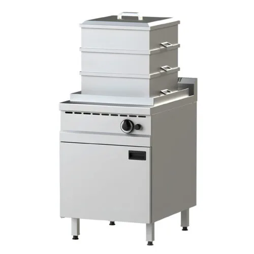 NAYATI Gas Steamer EGST 6-60